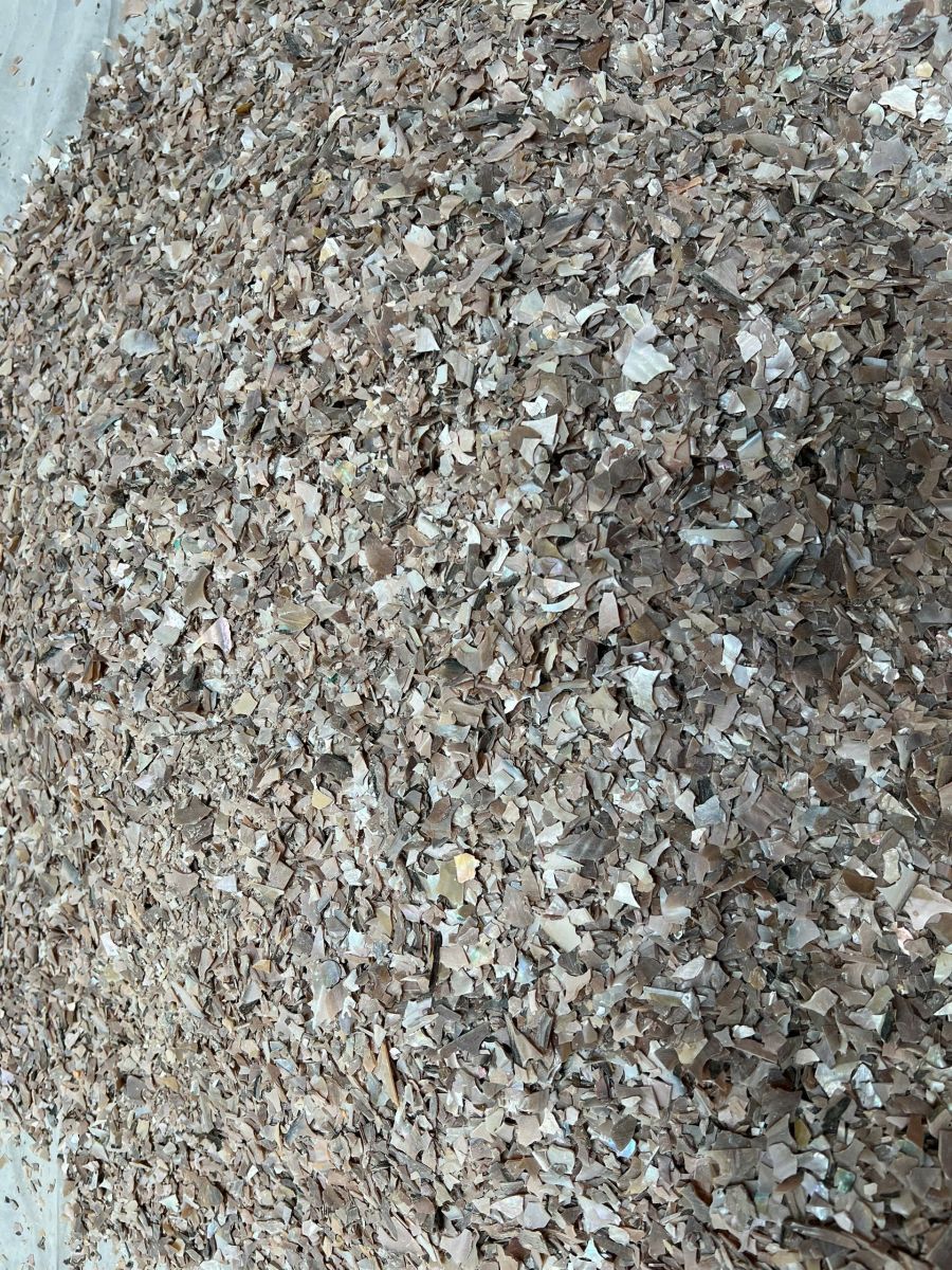 Ốc vụn các loại
