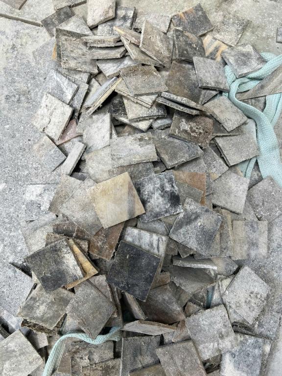 Bán các loại Vỏ ốc xà cừ tại Hồ Chí Minh